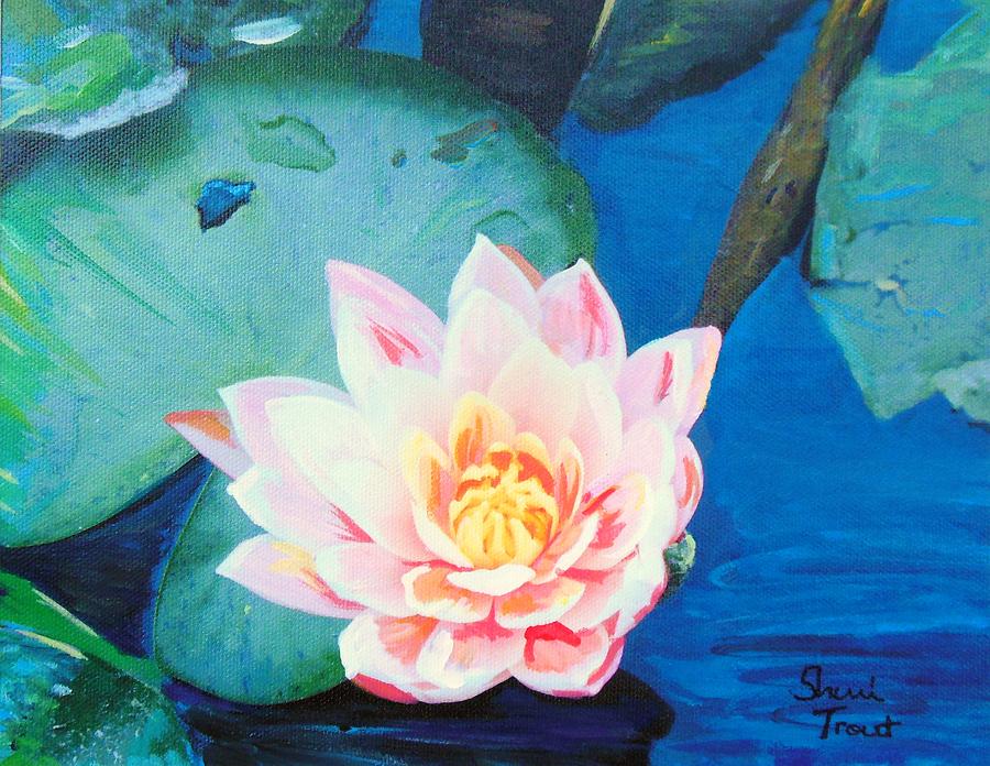 Pink Water Lily Painting by Sherri Trout - Fine Art America