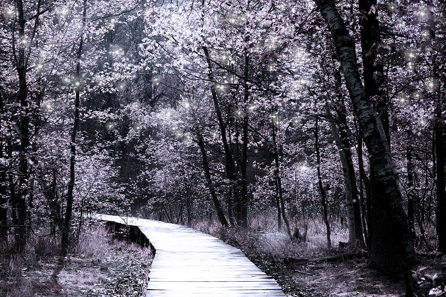 Pink Woodland Photograph by Evie Carrier