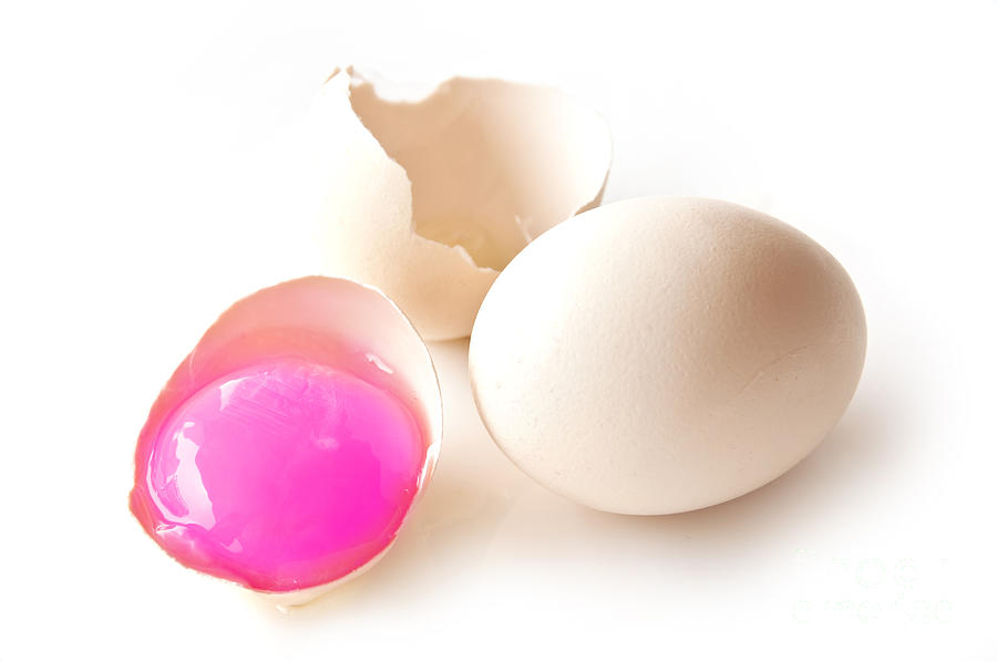 Egg Photograph - Pink Yolk egg by Delphimages Photo Creations