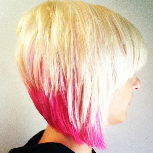 Pinks Back And Super Bright This Time Photograph by Claire Kennedy
