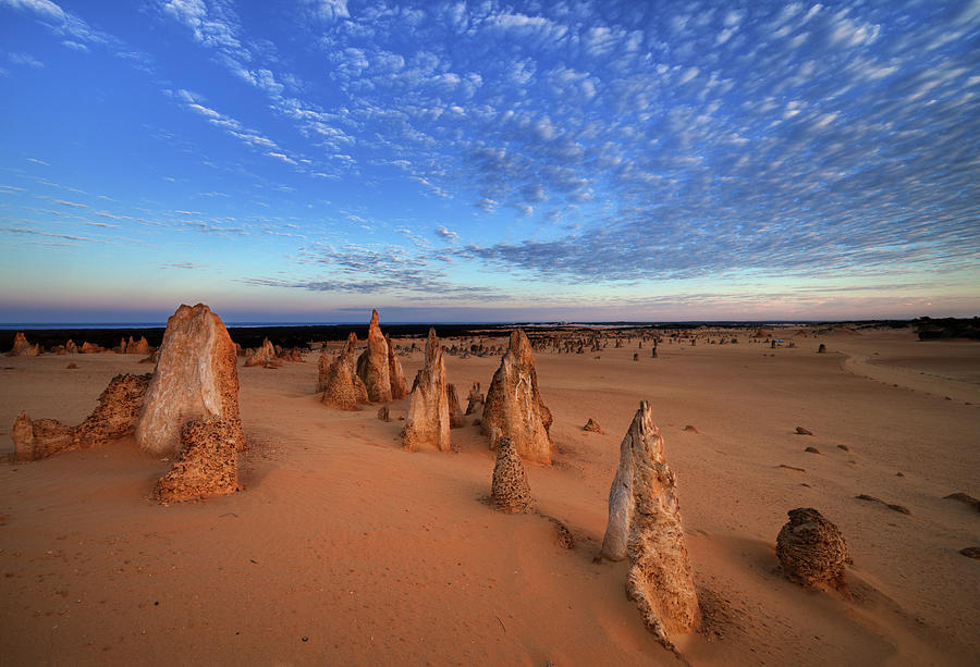 Pinnacles Desert At Sunrise Photograph by Steve Daggar Photography