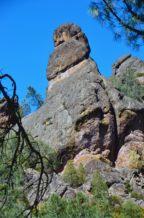Pinnacles Spire Photograph by Barbara Snyder