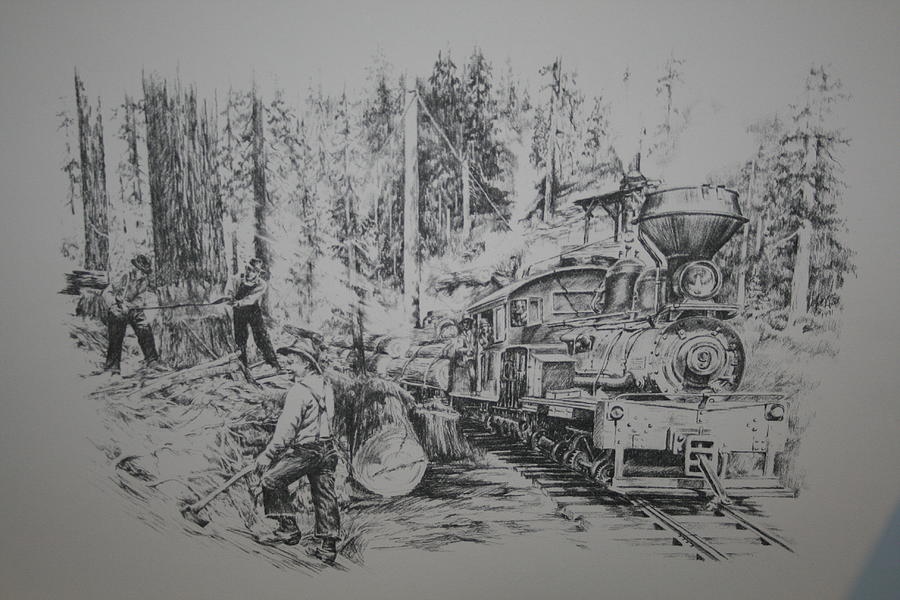 Pino Grande Logging Drawing by Jonni Hill