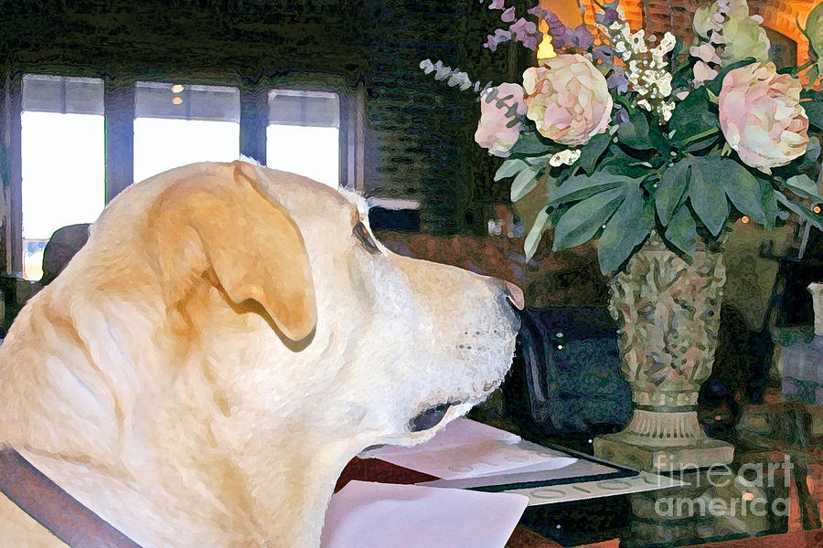 Flower Photograph - Pinot Gris The Yellow Lab Winery Dog by Wendy Raatz Photography