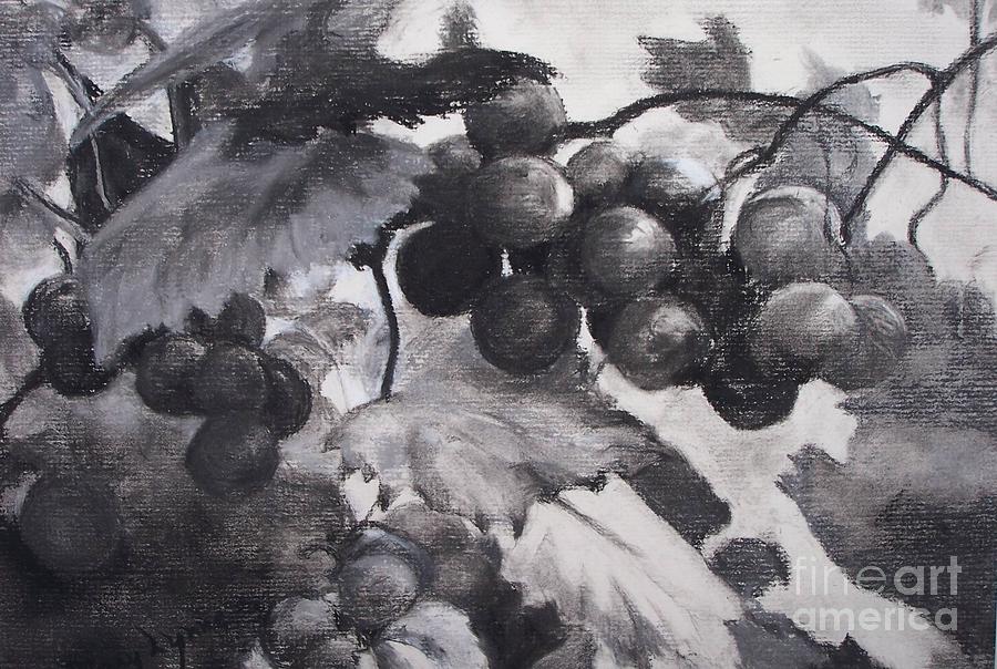 Grape Drawing - Pinot Noir by Mary Lynne Powers