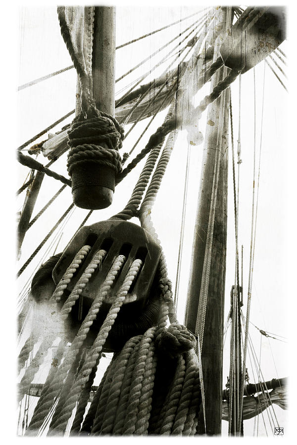 Pinta Rigging Photograph by John Meader