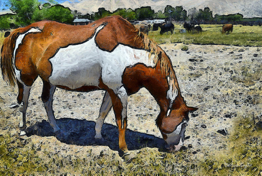 Pinto In The Pasture Digital Photograph by Barbara Snyder