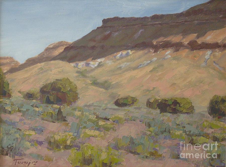 Pinto Mesa Morning Painting by James H Toenjes