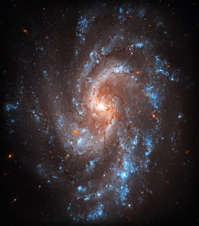 Space Photograph - Pinwheel Galaxy by Jennifer Rondinelli Reilly - Fine Art Photography