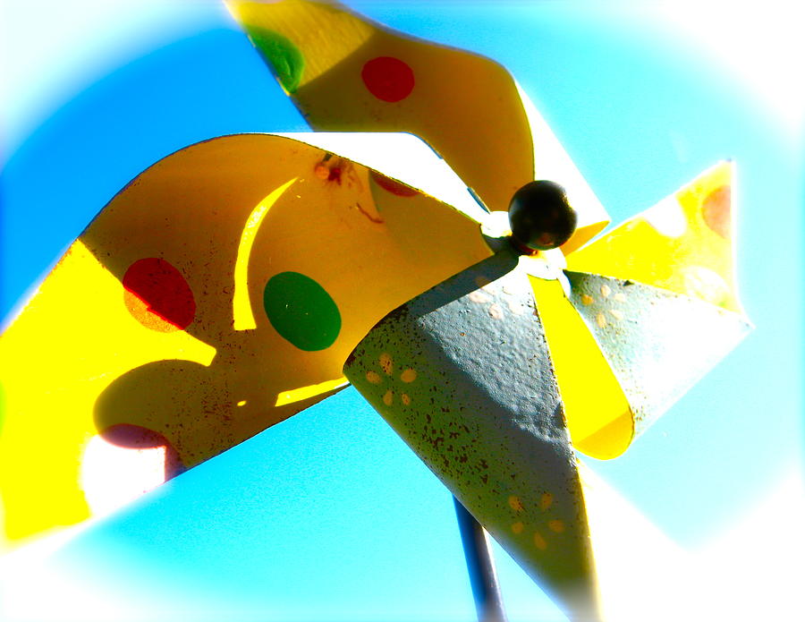Pinwheel Photograph by Tracy Male