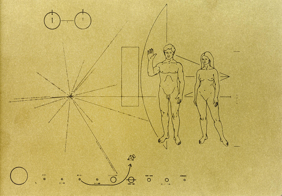 Pioneer Plaque, 1972 Photograph by Granger
