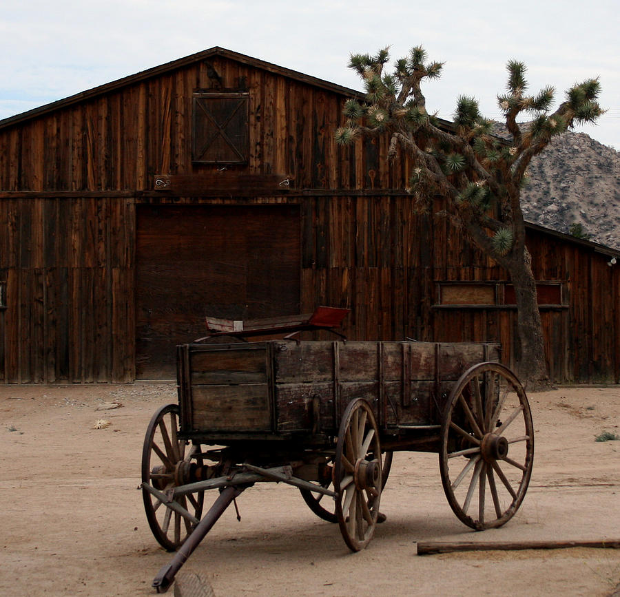 Pioneer Wagon Photograph by Karen Harrison Brown