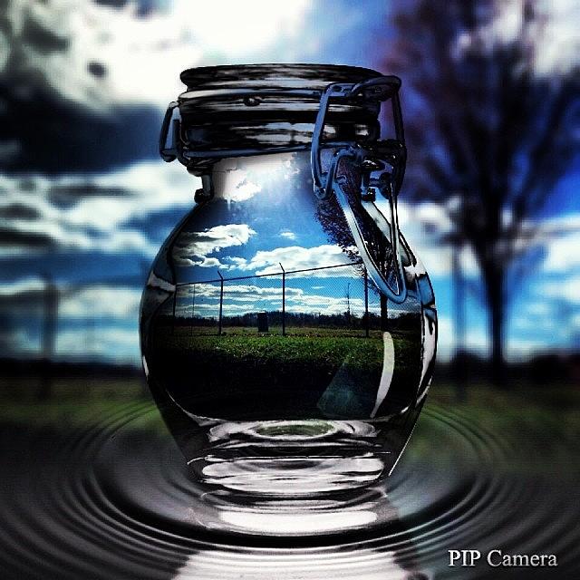 Nature Photograph - #pip #camera #edit #instaprints by Jamie Brown