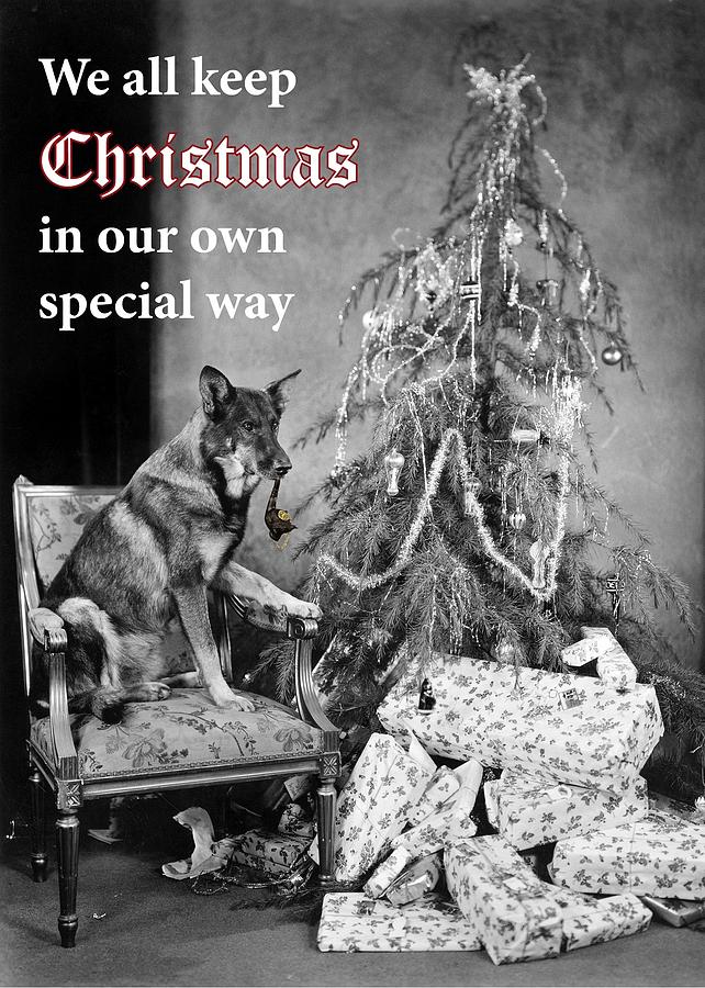 Keeping Christmas In Our Own Special Way Greeting Card Photograph by Communique Cards
