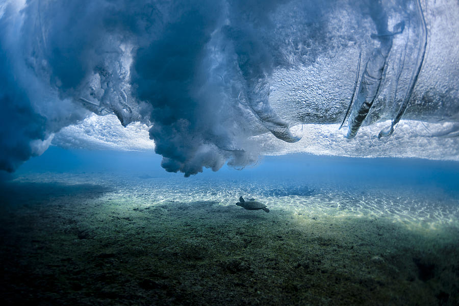 Turtle Photograph - Turtle Turbulence by Sean Davey