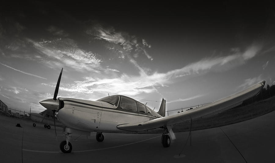 Black And White Photograph - Piper Arrow by Phil And Karen Rispin