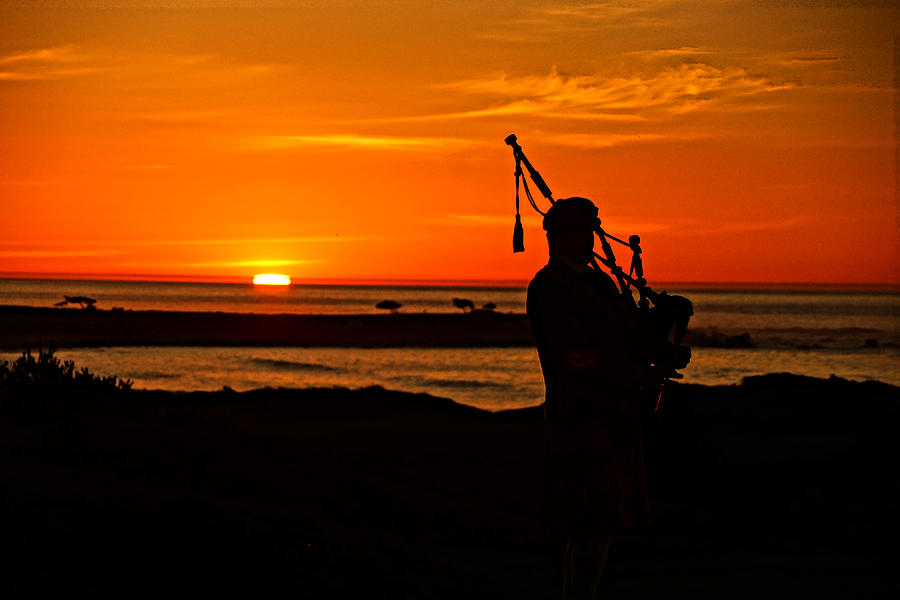 Piper at Pebble Beach Photograph by Randy Straka