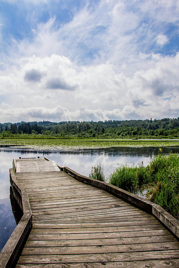 Piper Spit Pier In Burnaby Lake Photograph by Photography By Jason Gallant