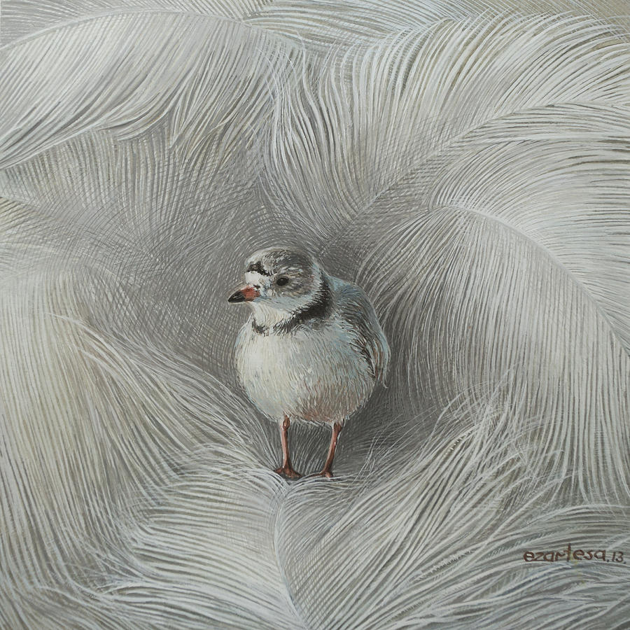 Piping Plover Painting by Ezartesa