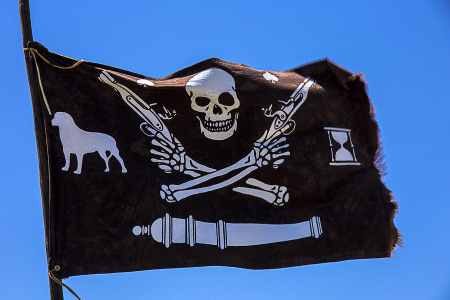 Skeleton Photograph - Pirate flag with skull and pistols by Garry Gay
