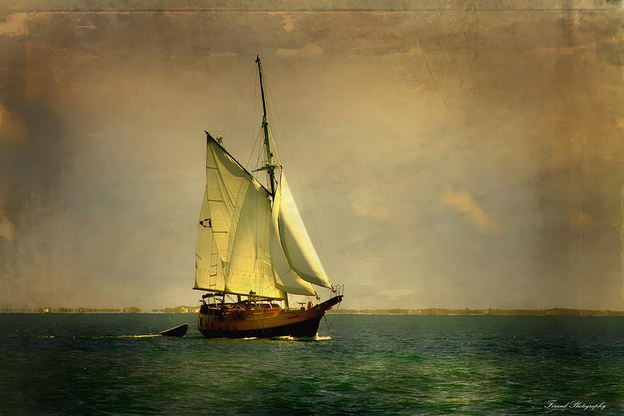 Pirate Ship 2 Photograph by Debra Forand