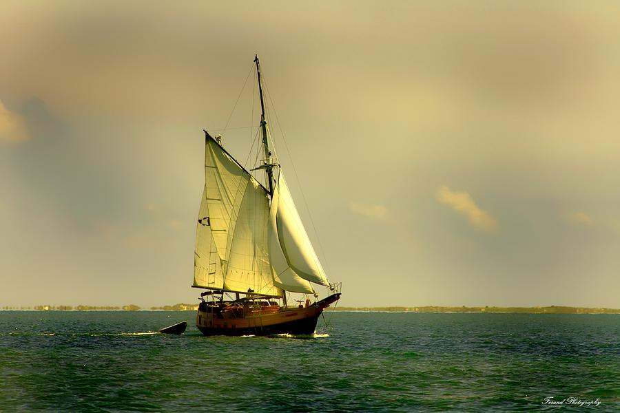 Pirate Ship  Photograph by Debra Forand
