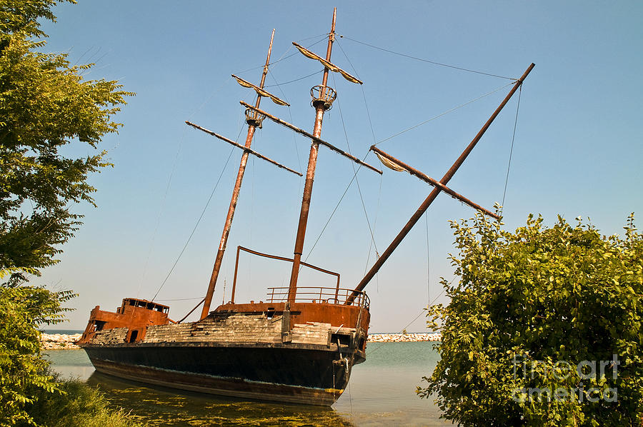 Tree Photograph - Pirate Ship or Sailing Ship by Sue Smith