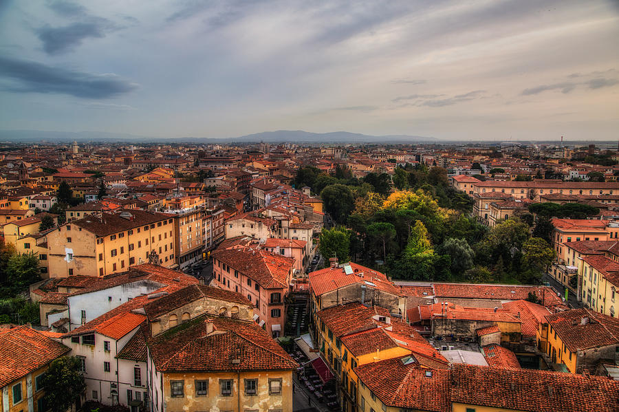 Pisa Rooftops Photograph