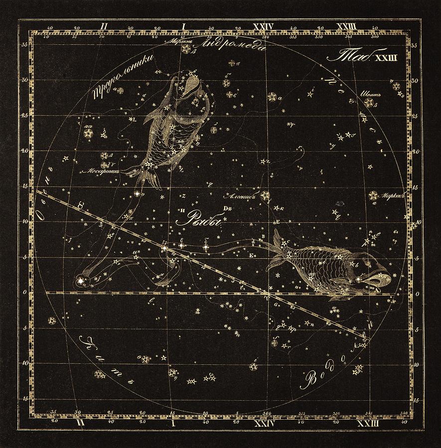 Pisces constellation, 1829 by Science Photo Library