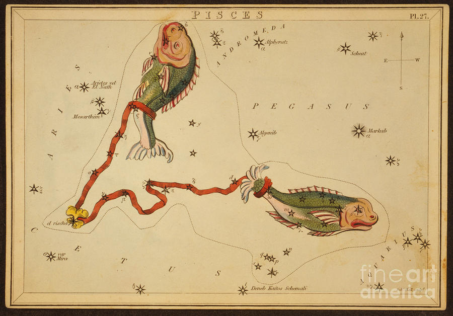 Pisces Constellation Zodiac Sign 1825 Photograph by Science Source