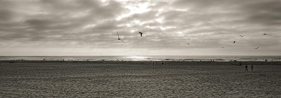 Pismo and Birds Photograph by Joseph Hollingsworth