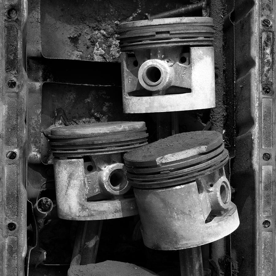 Pisotons in a Pan Photograph by Paul DeRocker