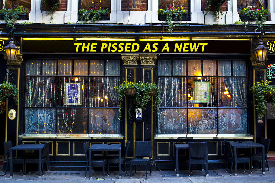 Newt Photograph - Pissed as a Newt Pub  by David Pyatt