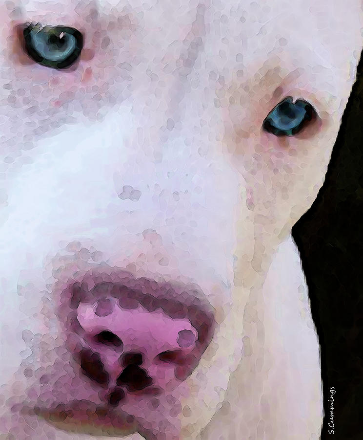 Dog Painting - Pit Bull Art - Not A Fighter by Sharon Cummings