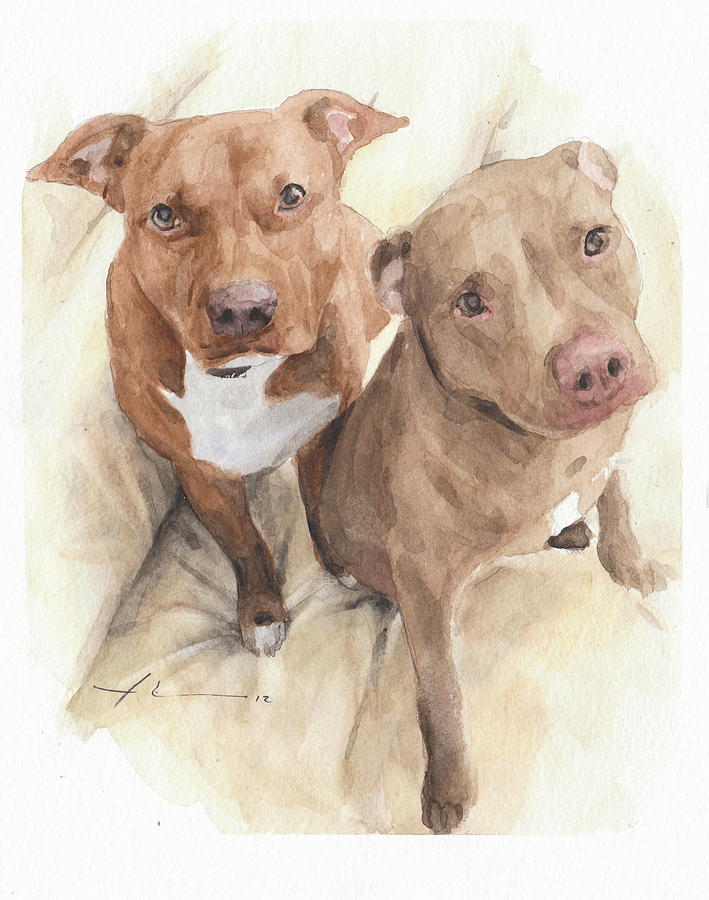 Pitbulls Watercolor Portrait Drawing by Mike Theuer Pitbulls Watercolor Portrait Drawing by Mike Theuer