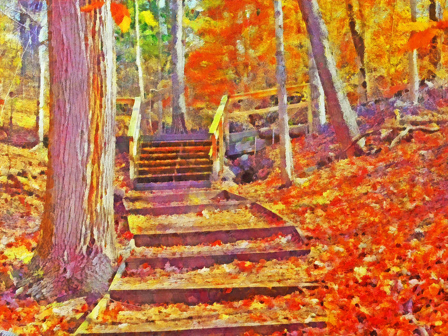 Pittsburghs Frick Park in October. Orange Digital Art by Digital Photographic Arts