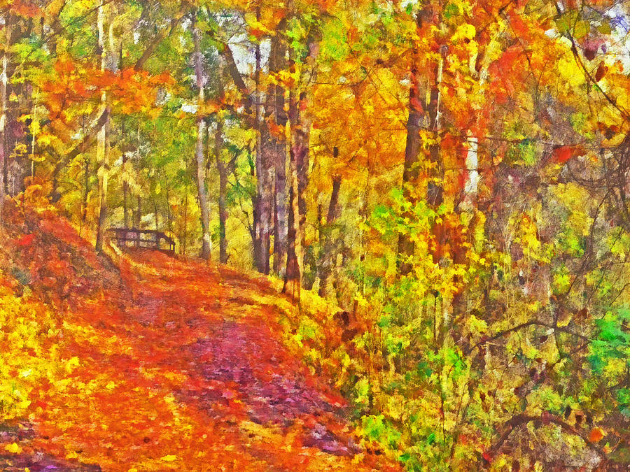 Pittsburghs Frick Park in October. Yellow and Orange Digital Art by Digital Photographic Arts