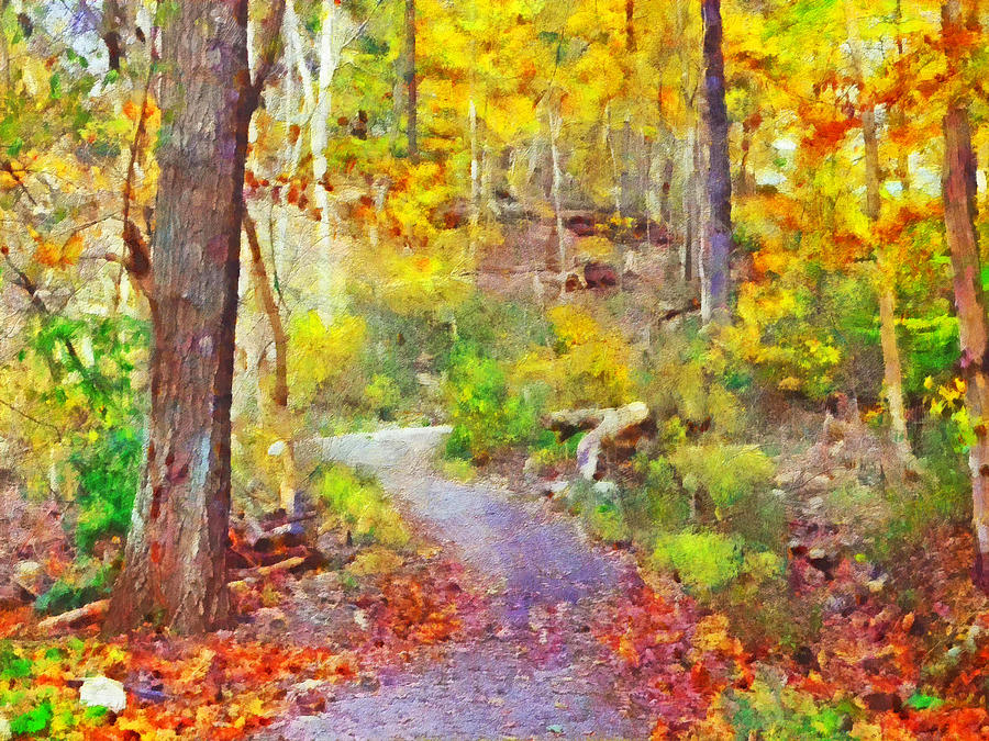 Pittsburghs Frick Park in October. Yellow Digital Art by Digital Photographic Arts