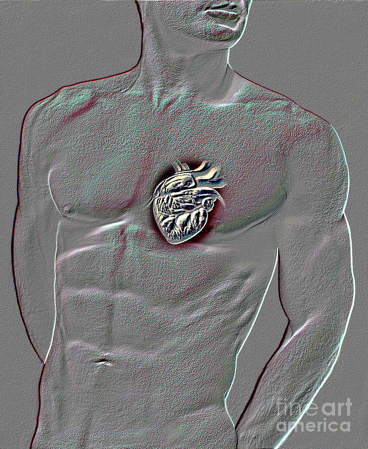 Human Heart Photograph - Placement Of The Heart by Dennis Potokar