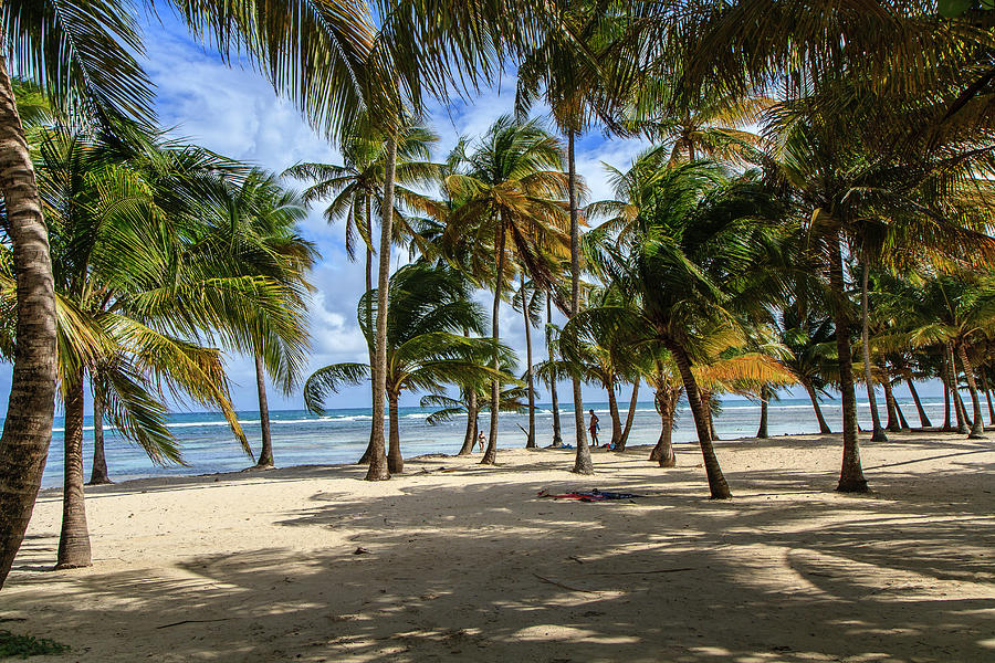 Plage Bon Jolain by Rafax