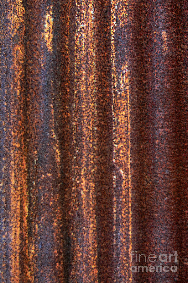 Plain Ole Rust Abstract 2 Photograph by Connie Fox