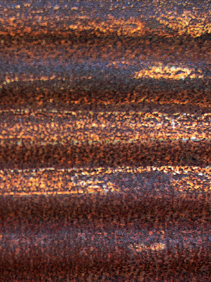 Plain Ole Rust Abstract 3 Photograph by Connie Fox