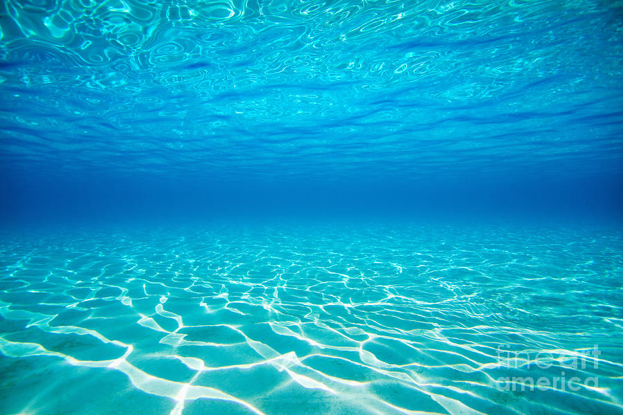 Plain Underwater Shot Photograph by M Swiet Productions