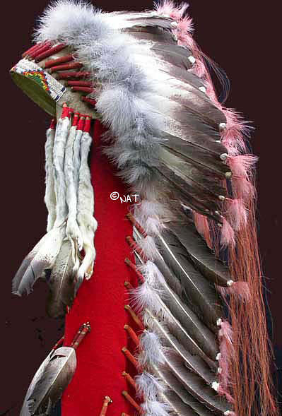 Crow Mixed Media - Plains Indian Trailer Headdress by Native Arts Trading