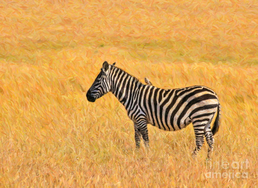 Plains Zebra Equus quagga in red oat grass Digital Art by Liz Leyden