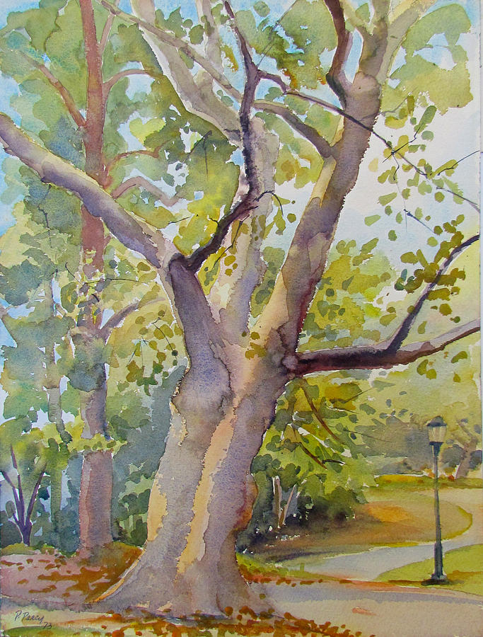 Central Park Painting - Plane Tree in September by Pat Percy
