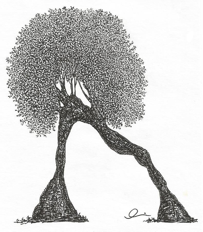 Plank by Andrea Currie Plank by Andrea Currie