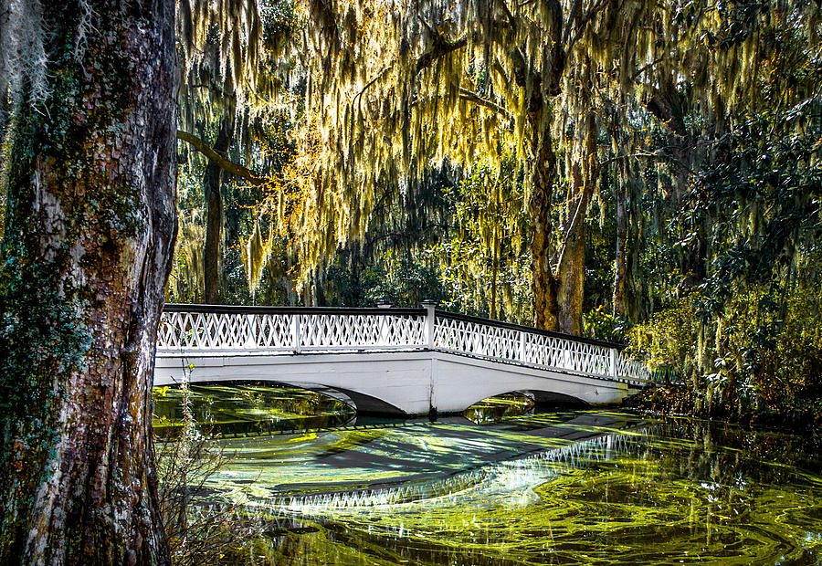 Magnolia Movie Photograph - Plantation Bridge by Optical Playground By MP Ray