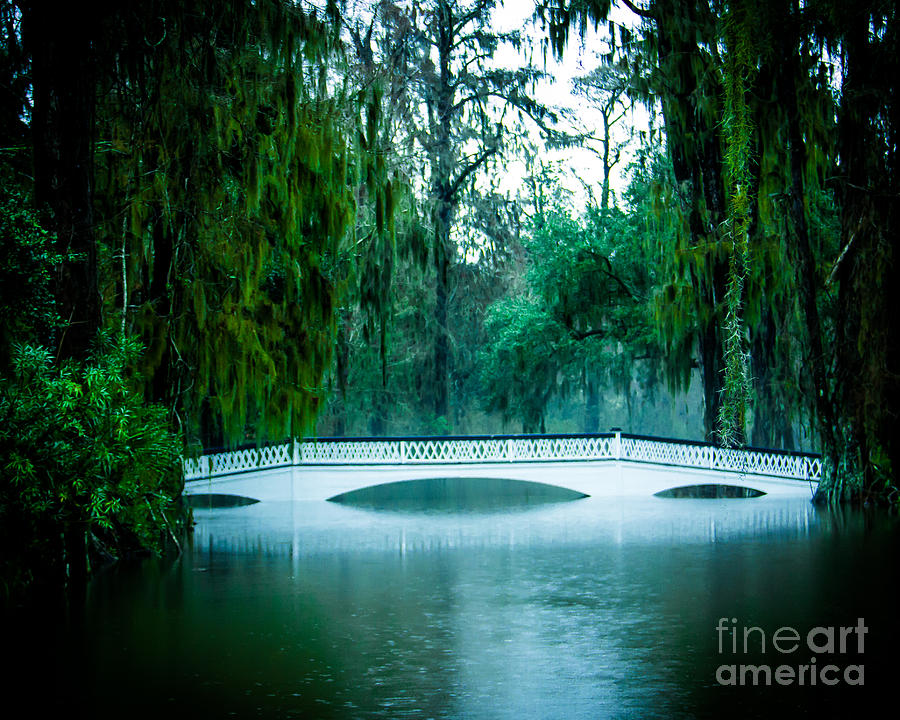 Plantation Bridge Photograph by Perry Webster