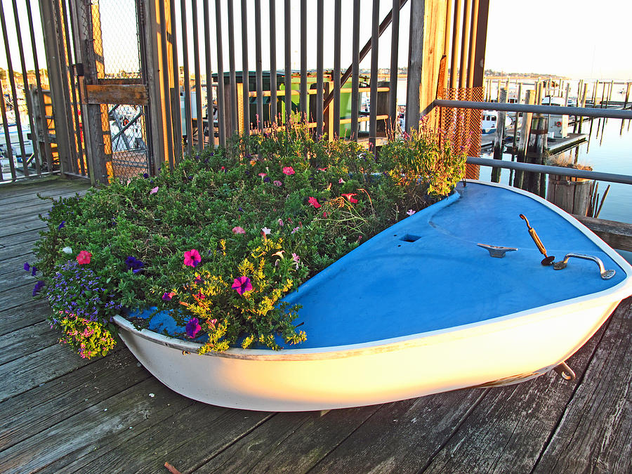 Planted Boat Photograph by Barbara McDevitt